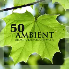 50 Ambient - Relaxing Background Music & Instrumental Meditation Song with Nature Sounds for Wellness, Spa and Relaxation (Gold Collection) by Ambient Music Series album reviews, ratings, credits