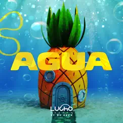 Agua (Remix) Song Lyrics