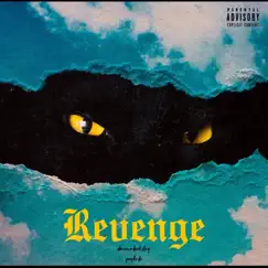 Revenge by Young King album reviews, ratings, credits