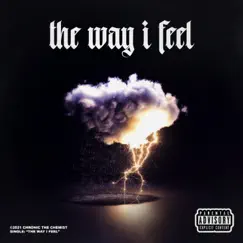 The Way I Feel - Single by Chronic the Chemist album reviews, ratings, credits