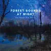 Forest Sounds At Night For Study and Focus album lyrics, reviews, download