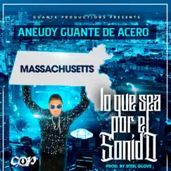 Lo que sea por el sonido - Single by Aneudy Guante De Acero album reviews, ratings, credits