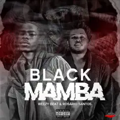 Black Mamba - Single by Weezy Beat & Rosario Santos album reviews, ratings, credits