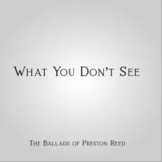What You Don't See by Preston Reed album download