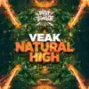 Natural High - EP album lyrics, reviews, download