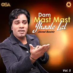 Dam Mast Mast Jhoole Lal, Vol. 5 by Javed Bashir album reviews, ratings, credits