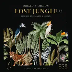 Lost Jungle (Atimos Remix) Song Lyrics