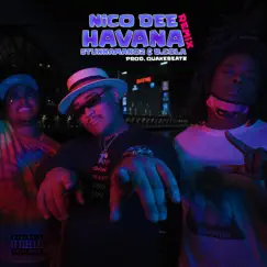 Havana (feat. Stunnaman02 & D-Cola) [Remix] - Single by NicoDee album reviews, ratings, credits