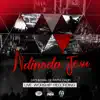 Ndinoda Jesu (Live) album lyrics, reviews, download