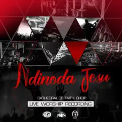 Ndinoda Jesu (Live) by Cathedral of Faith Choir album reviews, ratings, credits