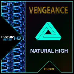 Natural High - Single by Vengeance album reviews, ratings, credits