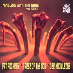 Mingling With the Gods (feat. Treez of the 505 & Cee Knowledge) - Single by Fat Pockets album reviews, ratings, credits