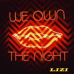 We Own the Night - Single by Lizi album reviews, ratings, credits