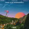 There Is No Wonderwall - Single album lyrics, reviews, download