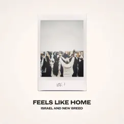 Feels Like Home, Vol. 1 by Israel & New Breed album reviews, ratings, credits