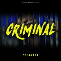 Criminal - Single by Young Ash album reviews, ratings, credits