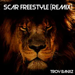 Scar Freestyle (Drap Beatz Hype Remix) Song Lyrics