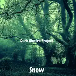 Snow - Single by Dark Electro Project album reviews, ratings, credits