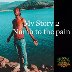 Numb To the Pain - Single by Jerry Plex album reviews, ratings, credits