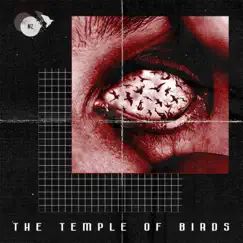 Acid Bird - Single by Onelas album reviews, ratings, credits