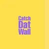 Catch Dat Wall (Instrumental) - Single album lyrics, reviews, download