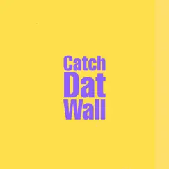 Catch Dat Wall (Instrumental) Song Lyrics