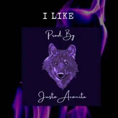I Like - Single by Justo Aconite album reviews, ratings, credits