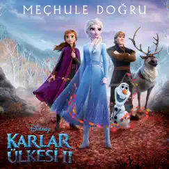 Meçhule Doğru (Karlar Ülkesi 2) - Single by Begüm Günceler & AURORA album reviews, ratings, credits