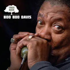 Tree Man by Boo Boo Davis album reviews, ratings, credits