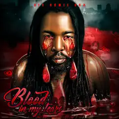 Blood in My Tears by Big Homie Dub album reviews, ratings, credits
