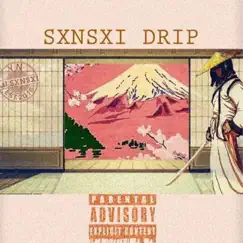Sxnsxi Drip - Single by Lil SXNSXI album reviews, ratings, credits