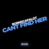 Cant Find Her (prd. wellfed) - Single album lyrics, reviews, download