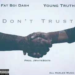 Don’t Trust (feat. Fat Boi Dash & Young Truth) - Single by All Harlem Music album reviews, ratings, credits
