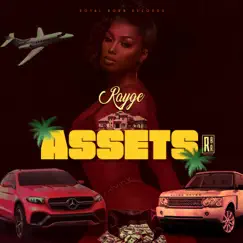 Assets - Single by Rayge album reviews, ratings, credits