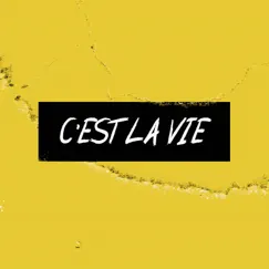 C'est la Vie by Das Brilliant album reviews, ratings, credits