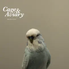 Migration by Cage & Aviary album reviews, ratings, credits