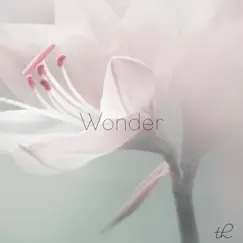 Wonder Song Lyrics