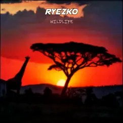 Wildlife - Single by RYEZKO album reviews, ratings, credits