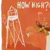 How High? - Single album lyrics, reviews, download