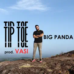 Tip Toe - Single by BigPanda album reviews, ratings, credits