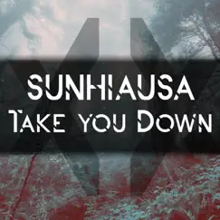 Take You Down - Single by Sunhiausa album reviews, ratings, credits