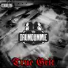 True Grit (feat. Shamu the Panda, Samroc & T.J. Freeq) - Single album lyrics, reviews, download