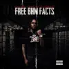 Free BHM Facts album lyrics, reviews, download