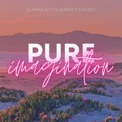 Pure Imagination - Single by Slaiman, E V O & Rhys Tolhurst album reviews, ratings, credits