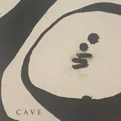Cave - Single by Brett Farkas album reviews, ratings, credits