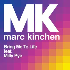 Bring Me To Life (feat. Milly Pye) Song Lyrics