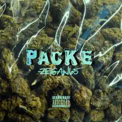 Packe - Single by Zegan65 album reviews, ratings, credits