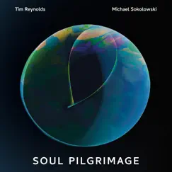 Efflorescence - Single by Michael Sokolowski & Tim Reynolds album reviews, ratings, credits