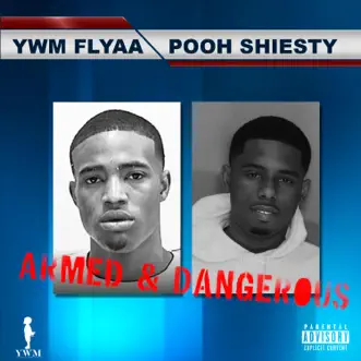 Download Armed & Dangerous (feat. Pooh Shiesty) YWM Flyaa MP3