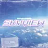 Skyview - Single album lyrics, reviews, download
